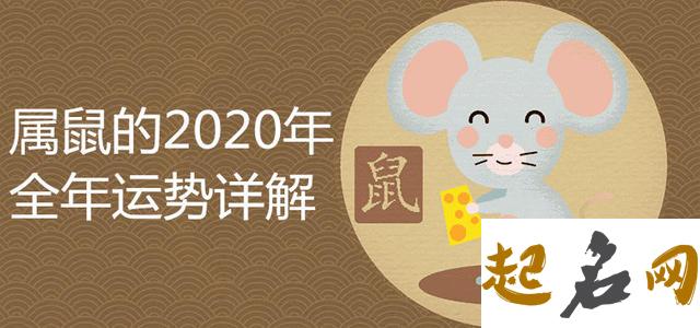 属鼠和属羊情感解析 事业也会受到影响 2020属鼠人全年运势