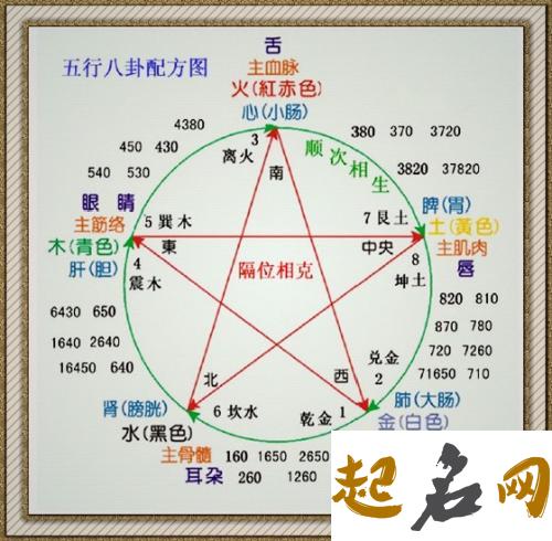 阴阳五行与人体的关系 五行中对应的脏腑阴阳