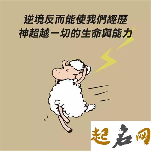 逆境测试-逃出逆境你靠什么？（图文） 如何面对逆境