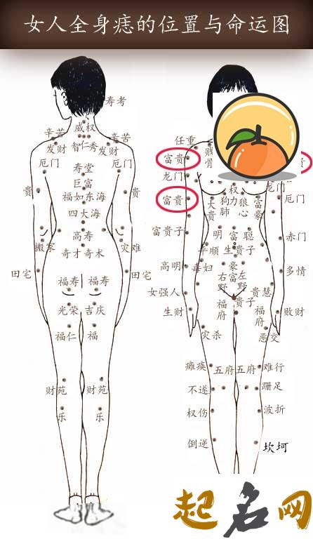 史上最全身痣相图解析 全身痣的位置图解