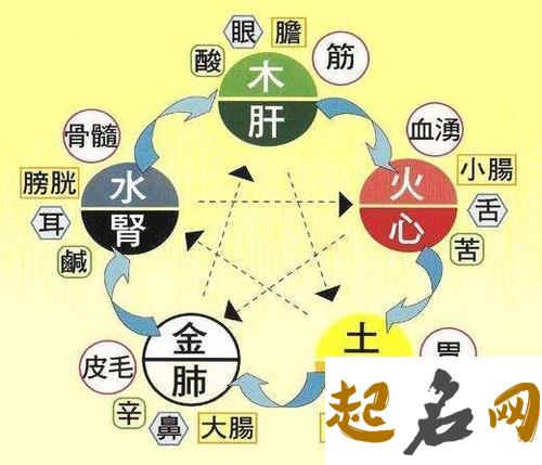 天干甲乙木的特殊偏好 八字见甲乙木