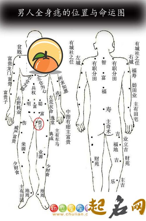 男人后背痣相图解分析 女人全身痣与命运图