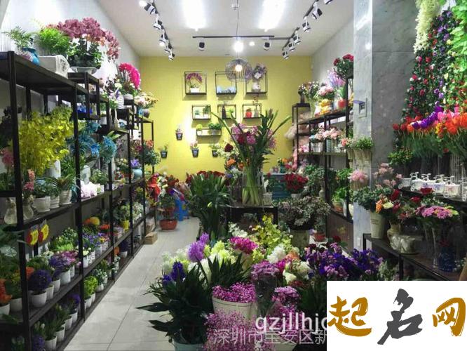 店铺取名-花店取名方法介绍 网店怎么取名