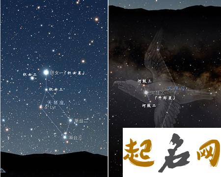 牛郎织女是什么星座呢 是两颗恒星 牛郎织女分别位于哪个星座