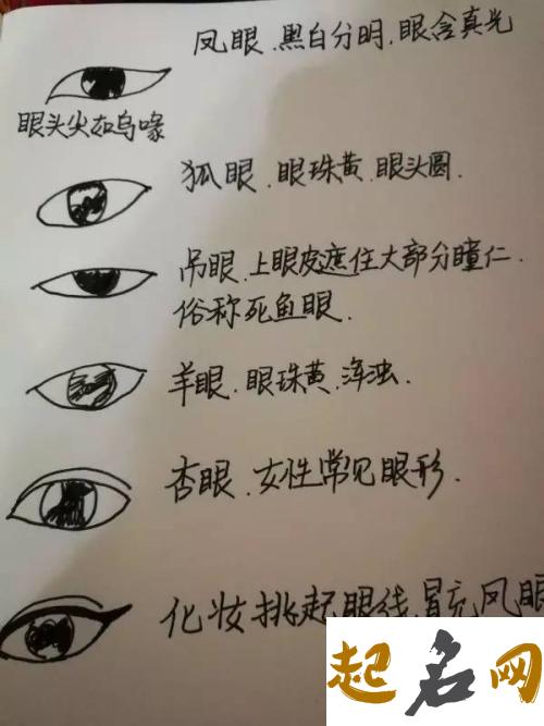 吊梢眉的意思是什么？吊梢眉长的咋样？ 三角丹凤眼柳叶吊梢眉是谁