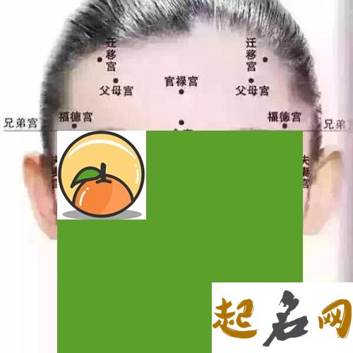 财运好的男人面相分析 面相看财运