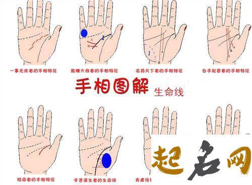 从手相中看生命线手纹与是否健康 男手掌没生命线