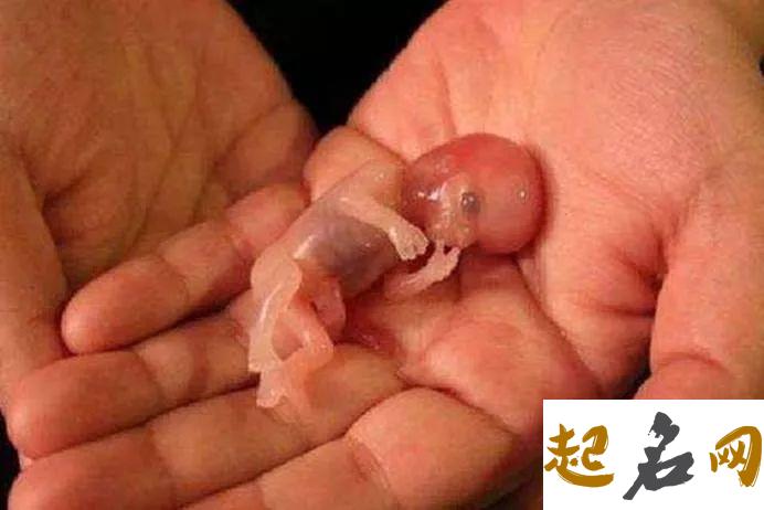梦见到自己怀孕又流产怎么回事 梦见自己怀孕又流产有什么预兆 梦到自己流产是什么意思