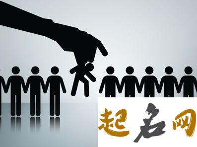 你是什么类型的工作人才（图文） 人才类型分为哪几种