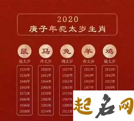 2021年十二生肖财富运势全解析 麦玲玲2020年运程十二生肖运程