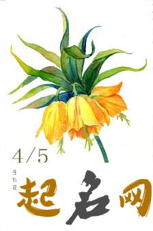 4月5日生日花：黄冠贝母 皇冠标志