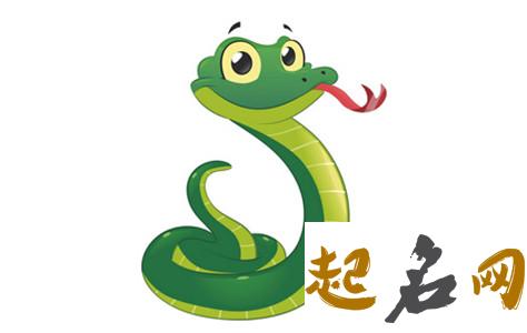 属蛇人未来5年的财运如何，有什么提升 今年属蛇的人今年运气好不好