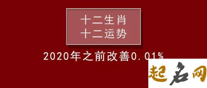 2020年生肖属牛和生肖属猪宜结婚吉日总览 94年属狗和97年属牛