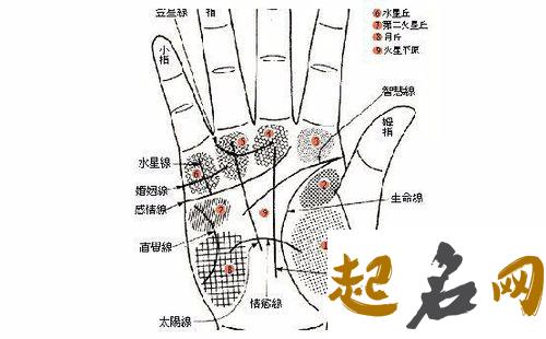 手掌长痣的说法 手上长黑痣