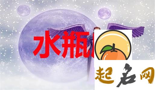 苏珊米勒2020年8月水瓶座运势完整版 水瓶座2020年运势详解