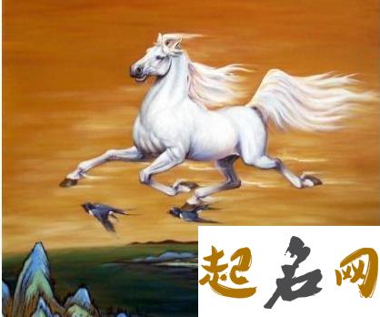 属马的家里挂什么画好 属马的办公室适合挂什么画