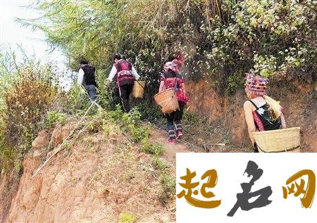 梦见上山路是什么意思【好不好】 梦见走山路