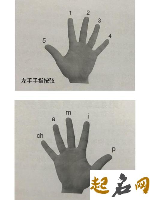 手指形状看性格与职业 6种左手手指形状看性格