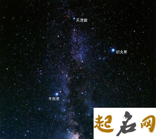 织女星位于哪个星座，织女星属于哪个星座 织女是哪个星座