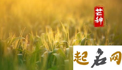 2020年芒种时节出生的宝宝名字推荐 清明时节雨纷纷名字是什么