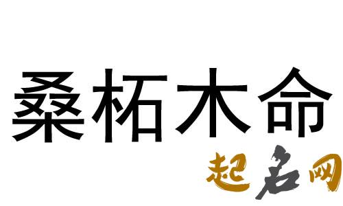 桑拓木命和大海水命的结婚好吗，是很合适的一对 桑拓木命是什么意思啊