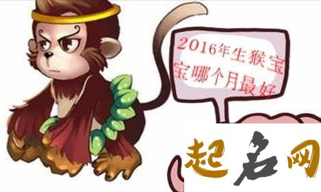 2016猴年几月份生宝宝命运最好 猴宝宝几月几日出生好