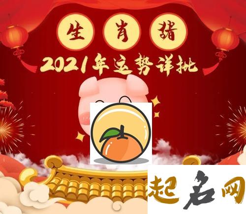 属猪男2021年全年运势及运程,属猪人2021年佩戴什么饰品最旺 83属猪人2020运程