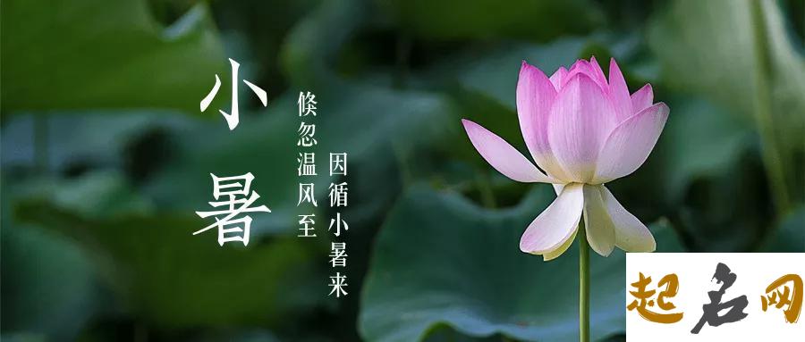 详解-小暑是第几个节气？（图文） 大暑小暑