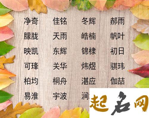 八字取名：2019年12月17号出生的男孩命运解析，起名用什么字好 猪年宝宝取名