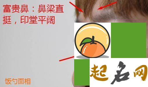 鼻子直挺命运就好吗？ 鼻子干燥怎么回事