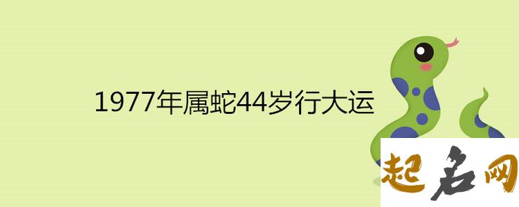 2021年哪些属相运势极好 健康运势如何 1977年属蛇人2020年运势