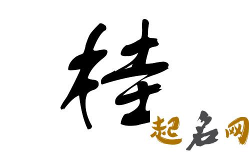 2019猪年出生的桂姓男孩怎么样起名字 姓桂男孩好名推荐 名字打分免费测试2019