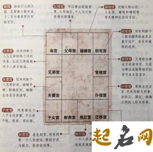 紫微斗数算命的意义 紫微斗数算命有什么意义 紫微斗数免费命盘详解