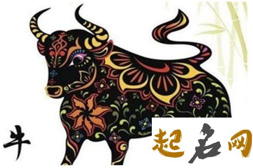属牛的小暑出生命好不好？ 2021年属牛是什么命