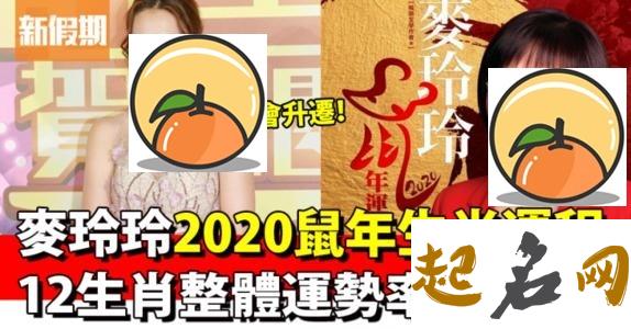 04月01日十二生肖运势与注意事项 麦玲玲2020年生肖运势