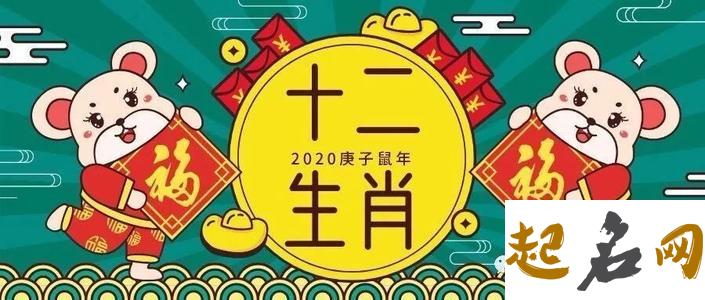 2020金鼠年生的人命运怎么样 几月生更好 72鼠2020运势