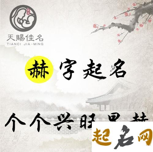 寓意兴旺的教育创业公司名字鉴赏, 运用志向的字 代表男孩远大志向的字