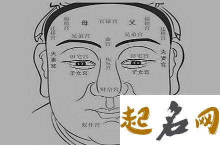 面相学入门知识：富贵面相七要素 什么面相旺夫