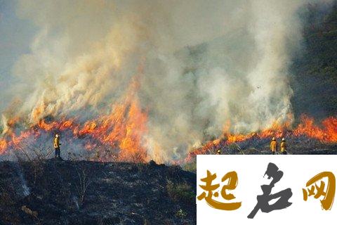 梦见火烧山林是什么意思【好不好】 火烧山林不顾本歇后语