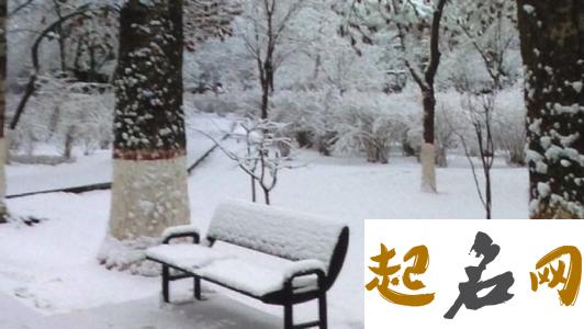 做梦梦见大雪纷飞 梦见很多人一起清理雪