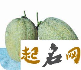 梦见哈密瓜怎么回事 梦见哈密瓜有什么预兆 梦到吃哈密瓜
