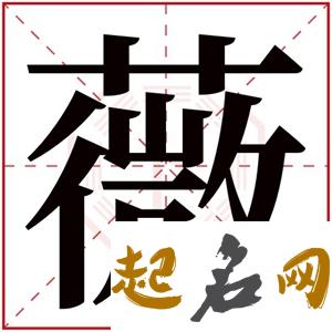 名字中带微字的含义 薇字取女孩子名字 取名微和薇谁好