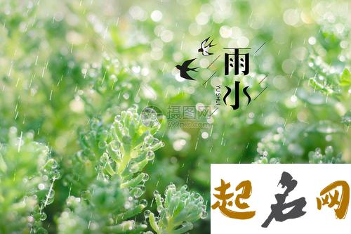 雨水节气出生的人好不好？（图文） 雨水节气图片