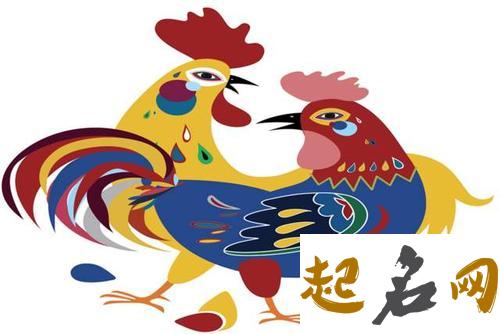 属鸡人适合和哪几个属相晚婚 属鸡和属猴的相冲吗