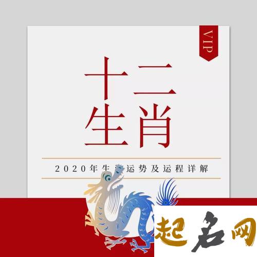 话说狗年出生的人 龙年出生的人2020年运程