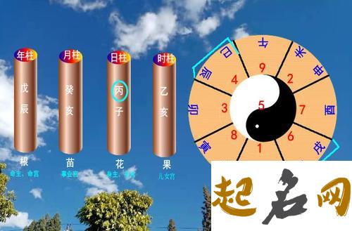 己卯日主逢2021辛丑流年,婚姻生活甜美幸福 2020年哪些日柱运气好