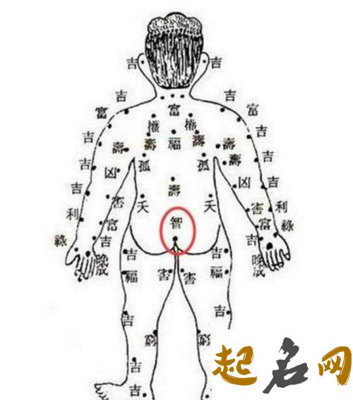 后背有痦子是什么意思 后背肩胛骨有痣代表什么