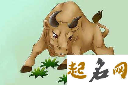 牛和牛的属相合不合 两个人怎么算八字合不合