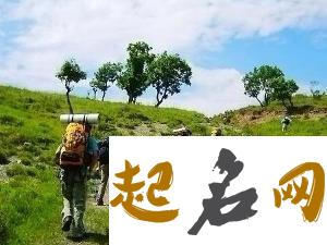 你的IQ足够帮你在野外生存吗（图文） 东北野外生存