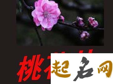 犯桃花怎么破 用什么方法破解 怎么知道自己犯桃花